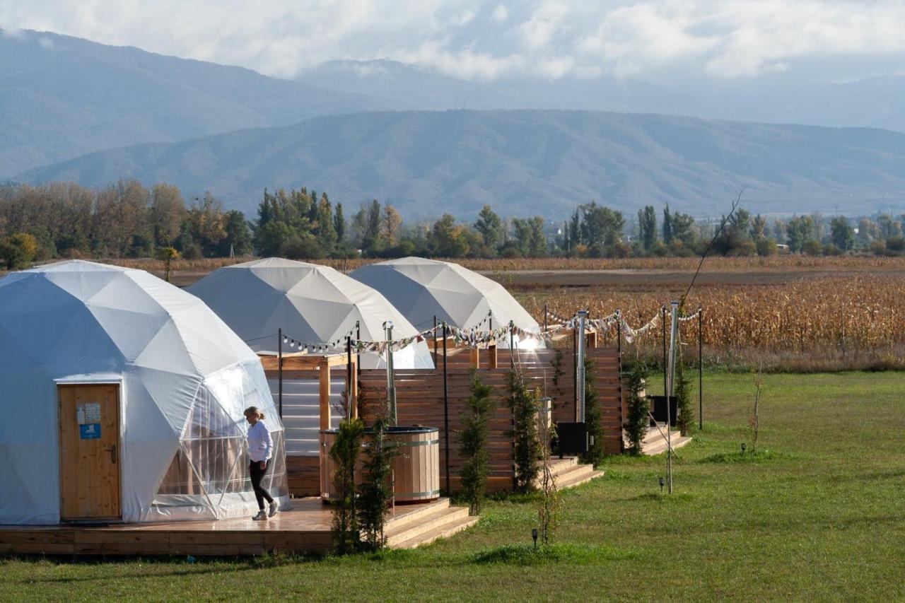Отель Комплекс Jewelberry Glamping Мцхета Экстерьер фото