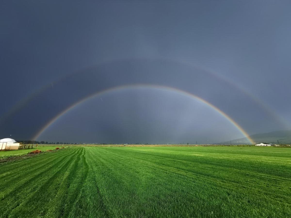Отель Комплекс Jewelberry Glamping Мцхета Экстерьер фото