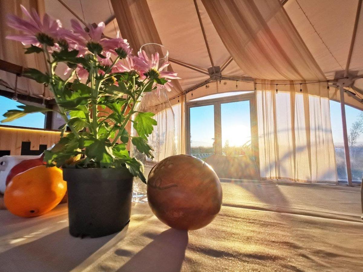Отель Комплекс Jewelberry Glamping Мцхета Экстерьер фото